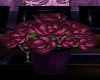 Mauve Potted Roses