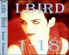 Annie Lennox Little Bird