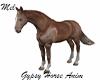 Gypsy Horse Animated