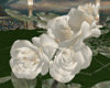 T- Wild Roses white