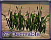 NF Nature Plant V DER.