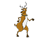 Chrismtas Dancing Deer