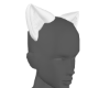 my kitty ears♡
