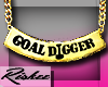 <R>Goal Digger