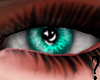 MS - Aqua Eye
