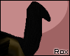 [Rox] BostonTerrier Tail