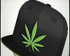 Marijuana Black Cap