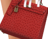 Used Grace Ostrich Bag