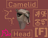 Camelid Head [F]