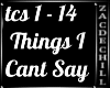 THINGS I CANT SAY
