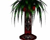 vamp fern plant