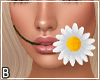 Daisy In Mouth