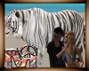 *M* White tiger with us