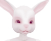 M anyskin bunny ears