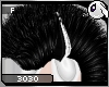 ~Dc) 3030 Hair Extension