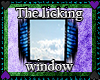 Licking Window *Joke*