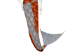 merman tail