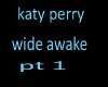 katy perry wide awake p1