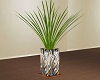 TGP Vase Plant