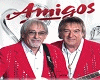 Die Amigos: Hits