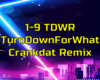 *(TDWR)TurnDownForWhat*