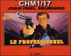 Le Professionnel