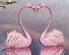 T- Rom. Flamingos Love 2