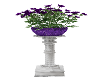 Roses Purple Pedestal 