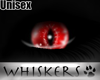 Whiskers :Demonik EyesUS