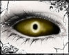 𝓐. Primal ⚤ Gold
