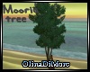 (OD) Mooria tree