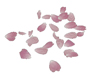 (20D) pink rose petals