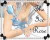 RS~The Ice Rose