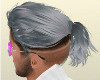 Rambut  abu2