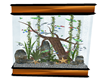 Aquarium - Copper and bl