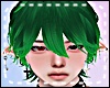 *Y* Abram Forest