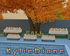 Fall Pool Party
