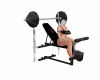 Gym Weight Bench