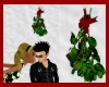 Kissing Mistletoe