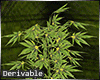 WEED L. Marijuana Plant