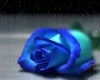 blue rose pet bed