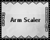 {3D} Arm Scaler