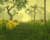 Summer sunflower garden