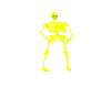 Neon Skeleton M/F