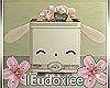 🌸Bunny Tea Box
