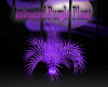Animated Purple Plant