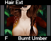 Burnt Umber Hair ext