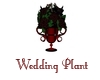 Goth Wedding Plant
