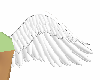 Single angel wing