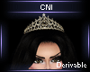 Derivable Crowns V7